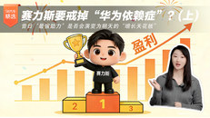 上集：赛力斯要戒华为？