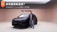 东风纳米01 Cross仅售8.38万起