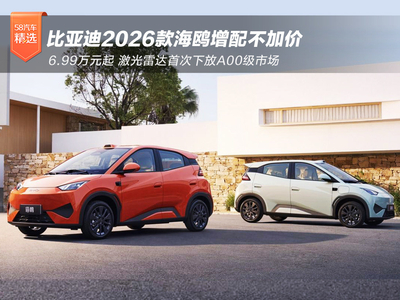 6.99万元起 比亚迪2026款海鸥增配不加价