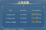 长城大狗HEV混动版上市:把10万级方盒子拉进混动主流 长城大狗HEV混动版上市:把10万级方盒子拉进混动主流