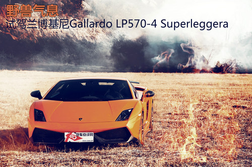 评测Gallardo Superleggera怎么样及Gallardo Superleggera的性能如何