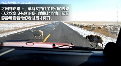 冰点雪原牧马行 Jeep内蒙古自驾游记