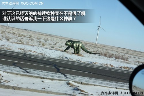 冰点雪原牧马行 Jeep内蒙古自驾游记